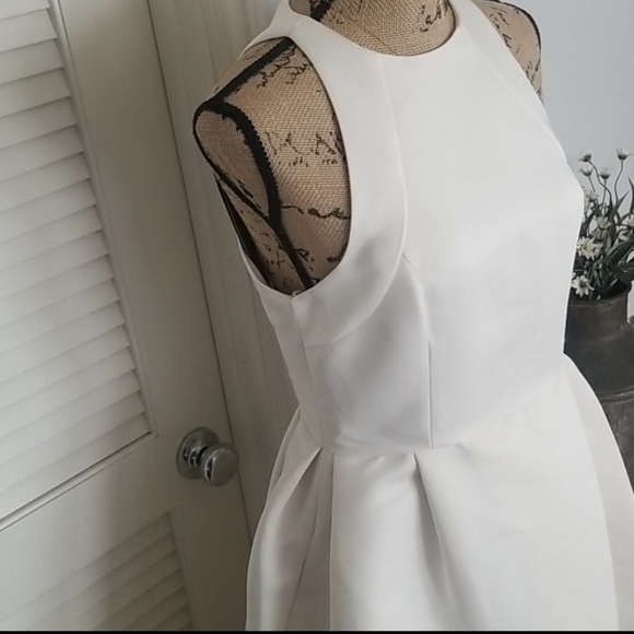 "Elegant Flair: Halston Heritage Satin Fit-and-Flare Dress" - Picture 5 of 10